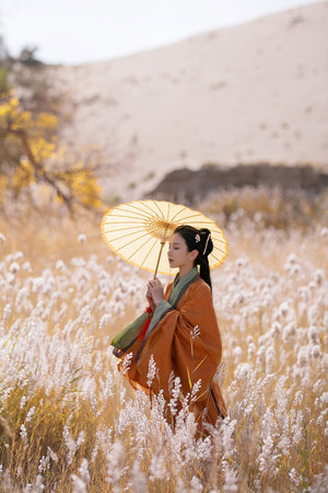 免费B站看大片真人电视剧在线下